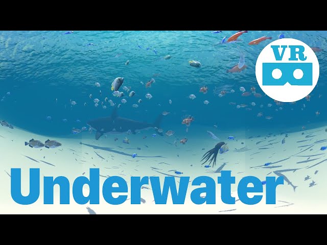 Underwater | VR180 3D | VR Video | Unity