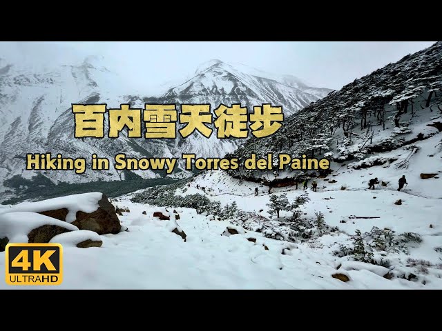 One-day Hiking in Torres del Paine: Beautiful Snowy Day in Patagonia | 4K Version