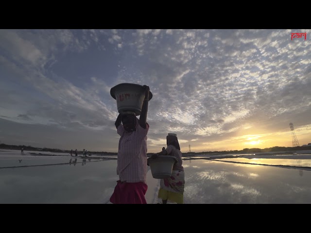 Salt of the earth: into the pans of Thoothukudi district, Tamil Nadu