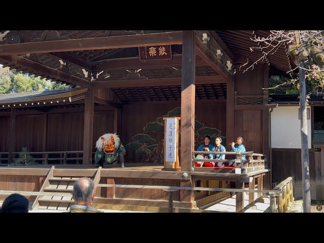 Traditional Lion Dance at Yasukuni Shrine - A Celebration of Japanese Culture