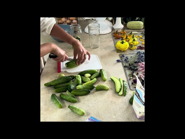 Relaxing day gardening and homemaking. #slowliving #gardening #homemaker #backyardgardening