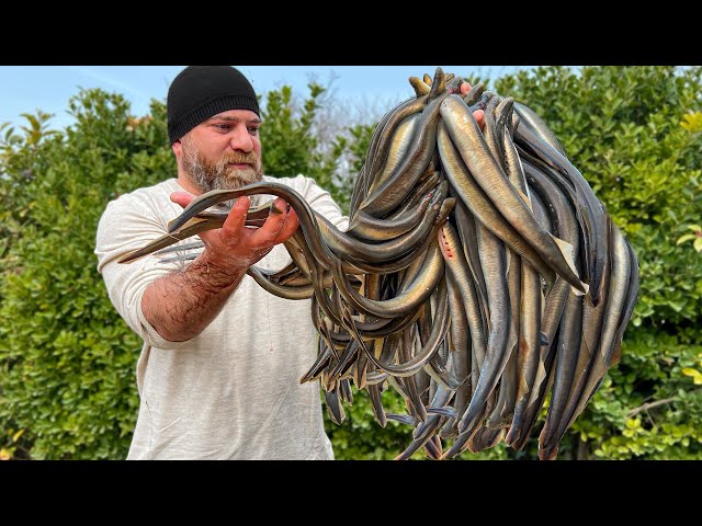 Outdoor Cooking Exotic Eel, Sea Octopus, Crayfish and more! Recipes Compilation By Kanan Badalov