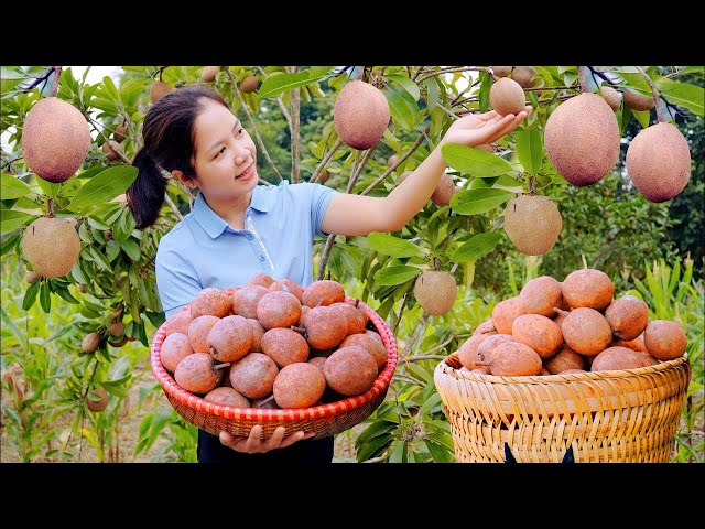 WOMAN Harvesting Fruits, Vegetables & Goes to the market sell | Daily Life