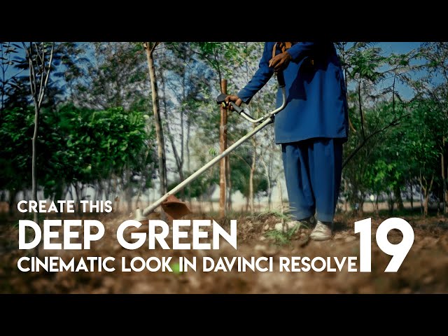 Deep Green LUTs in Davinci Resolve 19 Free Download