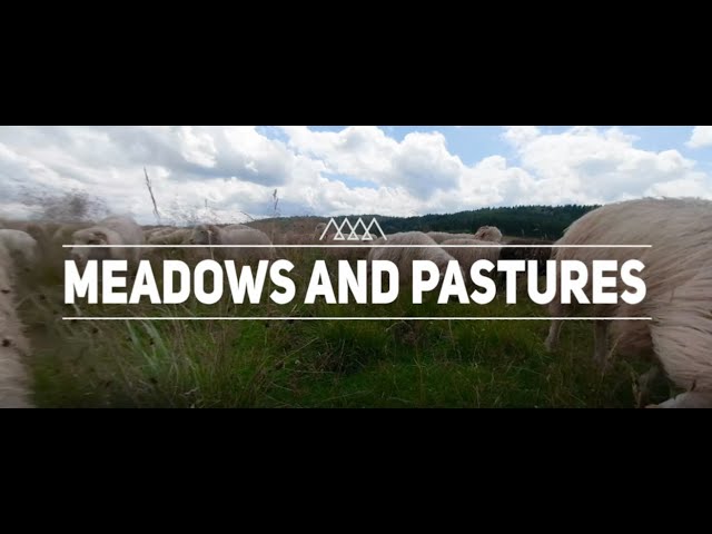 Carpathians Unite - Green Infrastructure: meadows and pastures