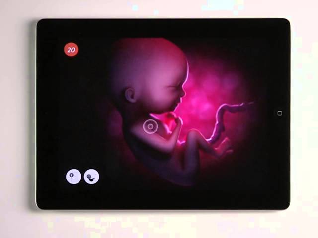 Life in the Womb - Pregnancy App