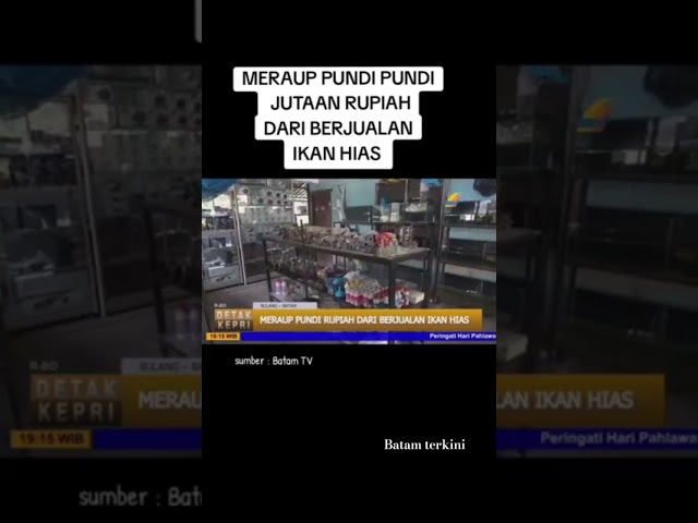 Budidaya perikanan kota batam terkini#shorts