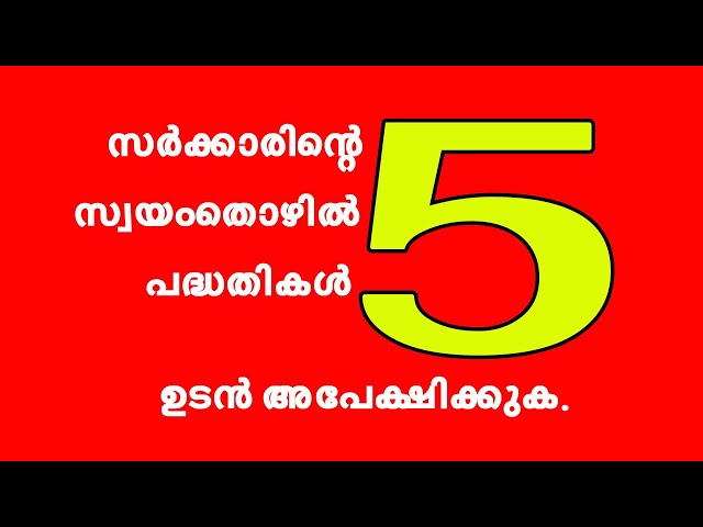 സർക്കാരിന്റെ 5 സ്വയം തൊഴിൽ പദ്ധതികൾ | KESRU