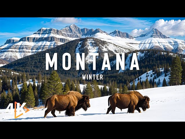 Winter In Montana, USA 4K ❄️ Embracing Winter Majesty with Snowy Peaks