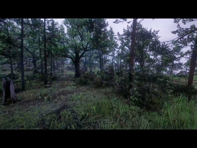 Heavy Rainstorm and Distant Thunder Sound, Night in the Deep Forest