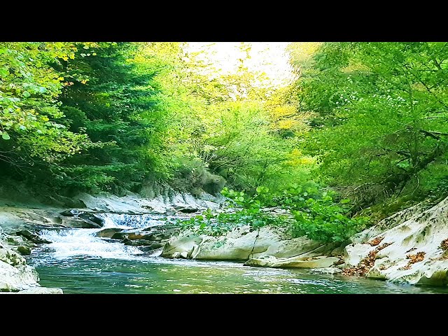 Relaxing Nature Ambience Meditation 🍂5 min Peaceful River Flowing Sound🍂Healing AUTUMN FOREST Sounds