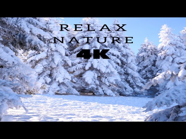 FLYNG OVER SNOW  4K UHD - Relaxing Music