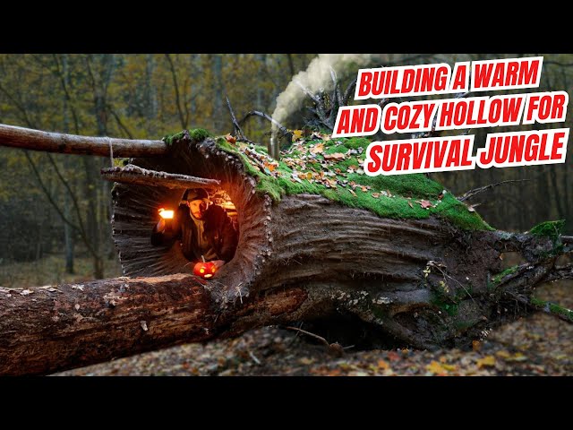 Building A Warm And Cozy Hollow For Survival, In The Root Of A Fallen Spruce Jungle.