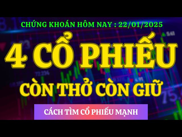 Chứng Khoán Hôm nay / Nhận Định Thị Trường : 4 CỔ PHIẾU CÒN THỞ CÒN GIỮ