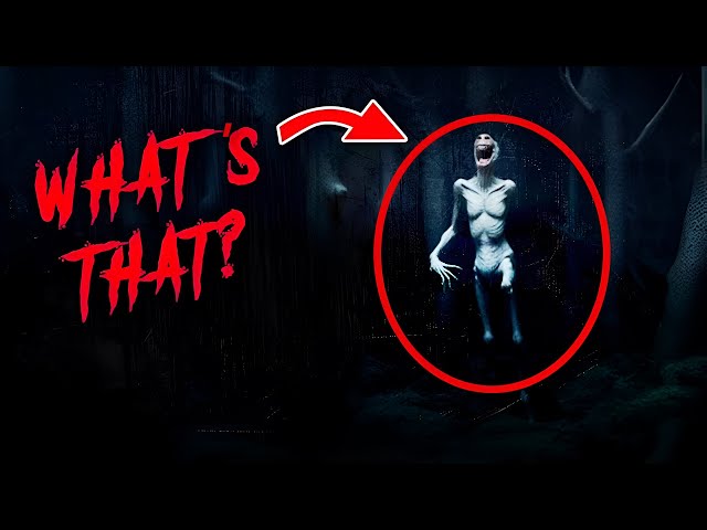 Nightmare Fuel: Unexplained Encounters with Massive Unknown Creatures | Spooky Pills