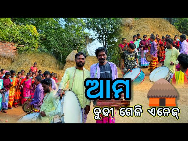 Santali Budhi Gali festival || traditional Budhi Gali || village tribal life