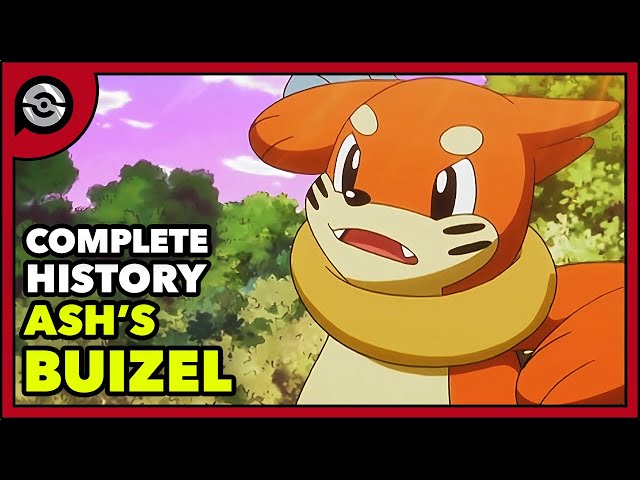 Ash's Buizel: From Dawn to BRAWN | Complete History