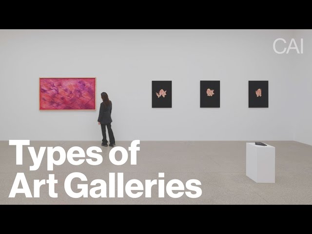 6 Types of Art Galleries & How To Identify Them (Watch this before working with galleries!)