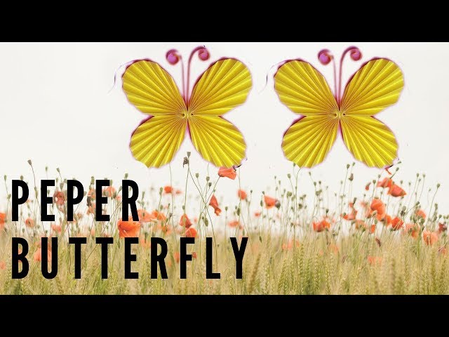 Origami Paper Butterfly Making - DIY Easy, Simple Craft