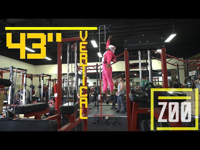 Testing Random Gymgoers Vertical Jump At Zoo Culture