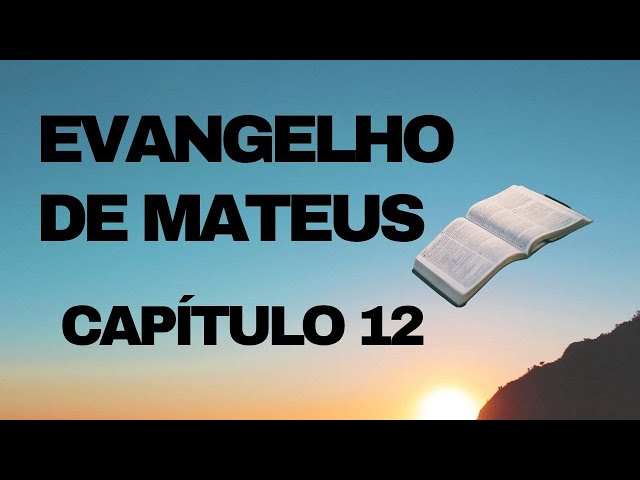 Evangelho de Mateus: Capitulo 12: Bíblia Sagrada Linguagem de Hoje Editora Paulinas: