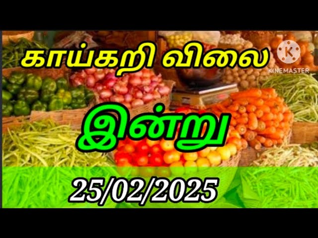 Today vegetables price in Chennai 25/02/2025 | Tamil | இன்று காய்கறி விலை??? Today Vegetable