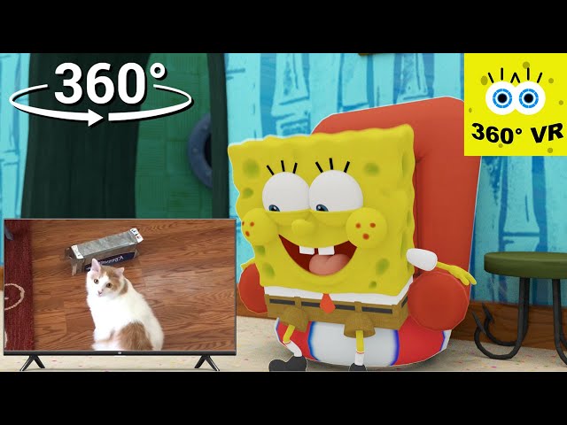 SpongeBob 360° VR | SpongeBob reacts to funny videos