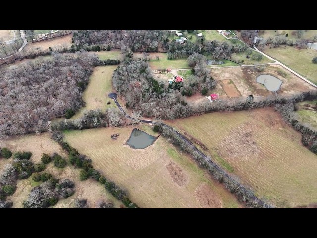 Winter at Nelson Creek | College Grove, TN