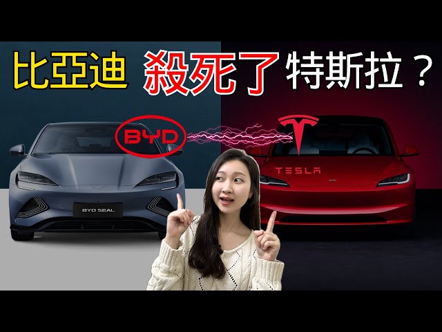 The killer of Tesla - BYD