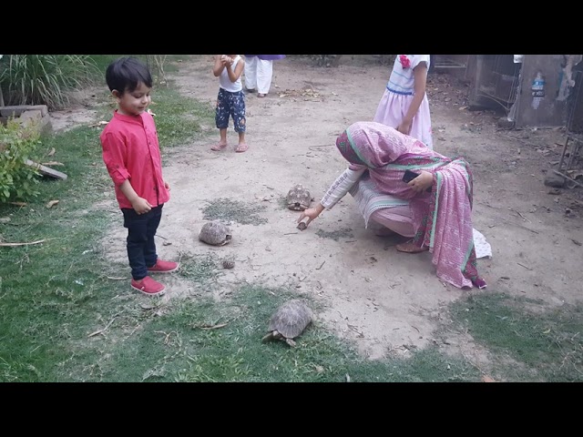 Satkhira Tushar vai's home (29/04/18)