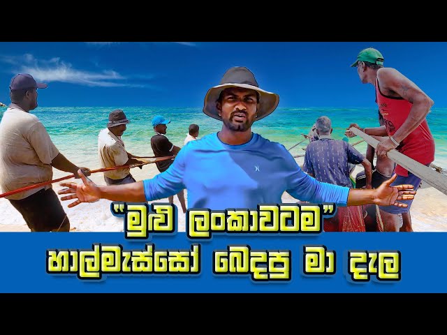 Amazing Seine Net Fishing In Sea | Traditional Fishing Method In Sri Lanka