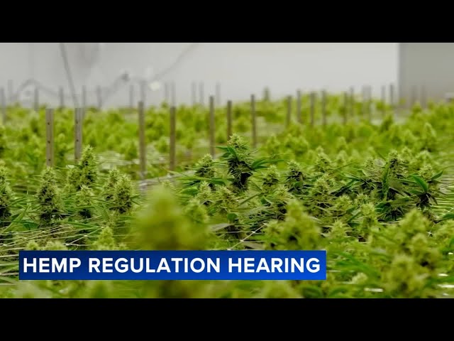 Chicago City Council committees take up hearing on hemp regulation, taxation