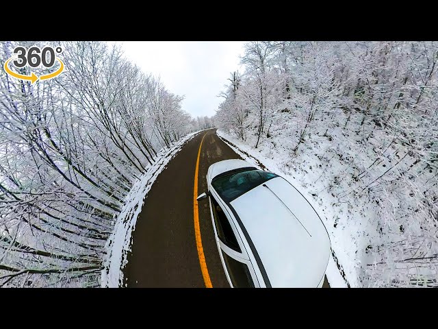 Virtual Road Trip: 360-Degree Car Drive through Breathtaking Landscapes