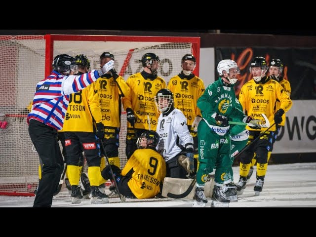 «Hammarby IF»-«Åby/Tjureda IF» 7 Feb Elitserien 2024-25