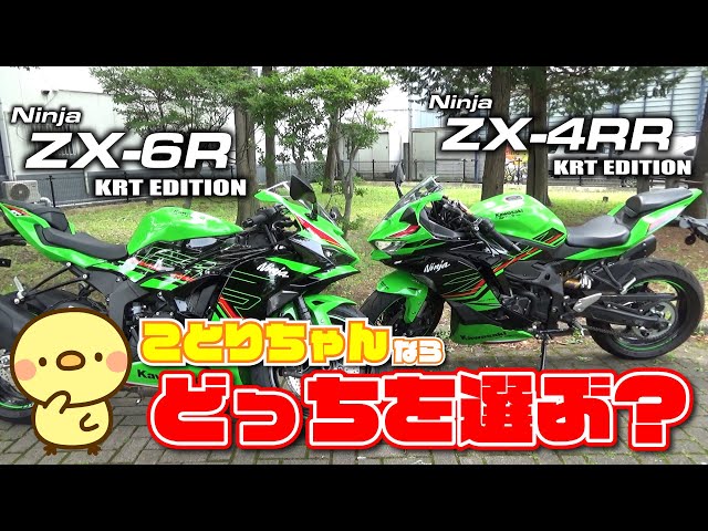 ことりちゃんがNinja ZX-6RとZX-4RRを比較！大型免許を持ってたらやっぱり選びたくなるのはZX-6Rなの？