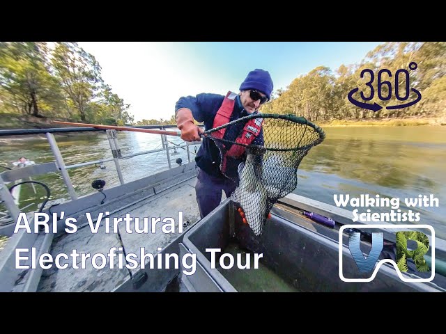 ARI's Virtual Electrofishing Tour | VR 360 | Walking with Scientists