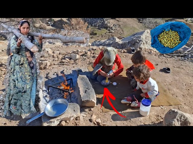 "Collecting wood in dangerous forests 🌲: exhausting challenges in the nomadic life of Iranian women!