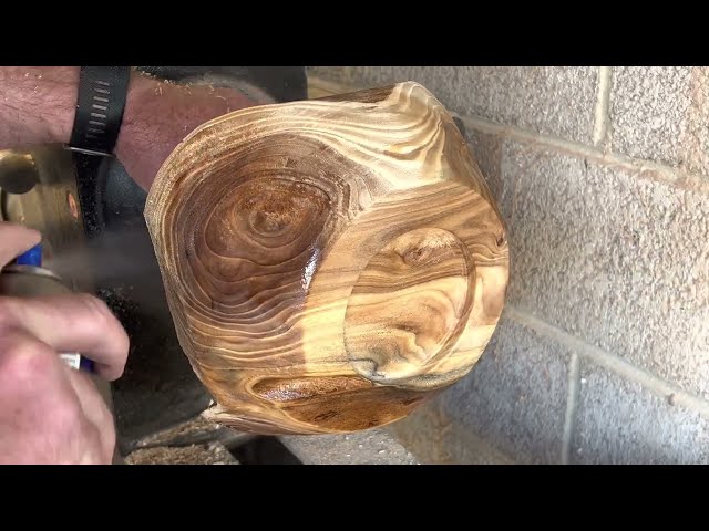 Woodturning - Live edge elm bowl