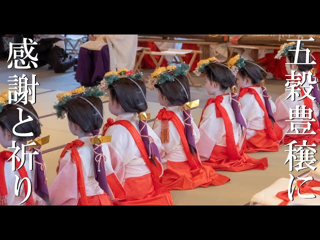 The most beautiful little miko dances in the world, Kyoto ,Japan