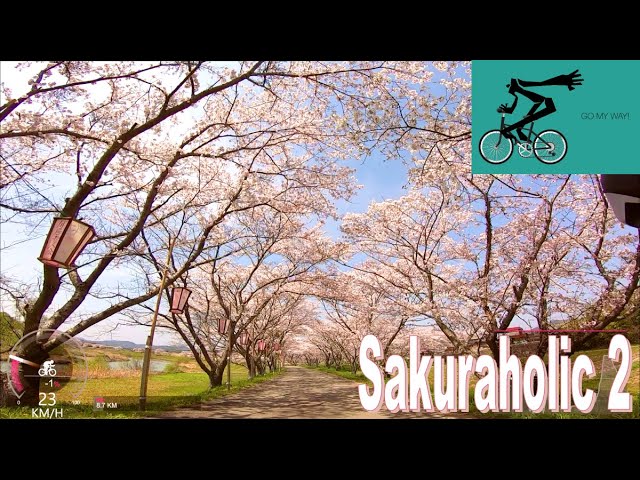 🚴🎵 Virtual bike ride 30 minutes in breathtaking landscape ① [ Indoor cycling video ]