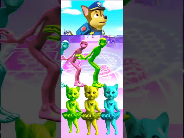 Paw Patrol - ALIEN 🆚 CATS || PAW Patrol 🎶 Tiles Hop EDM Rush #memes #tileshop #coffindance