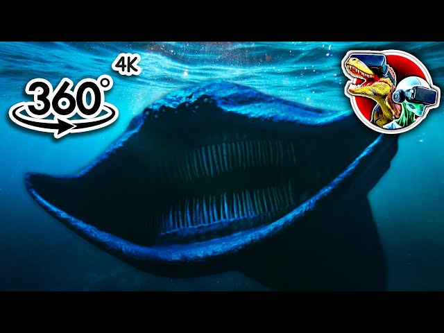 Evolution of El Gran Maja | 360 Video 4K