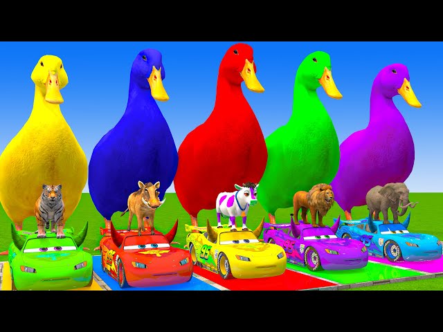 5 Giant Duck Cartoon,Cow,Elephant,Giraffe,Tiger,Lion, Paint Wild Animals Crossing Fountain Animation