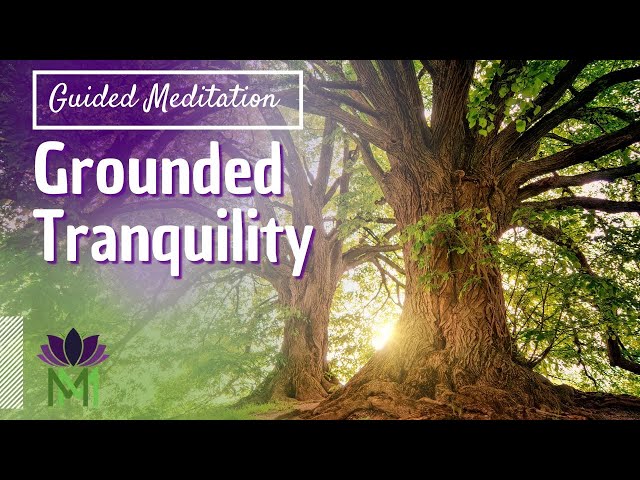 Grounding Meditation to Connect with Nature's Wisdom | Mindful Movement