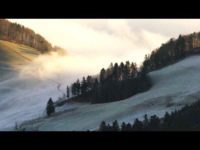 Wave Of Fog