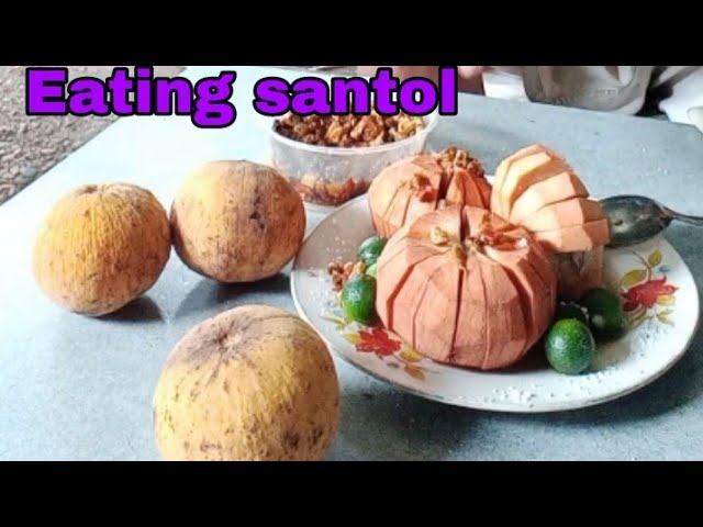 Eating santol |EC adventurevlogs