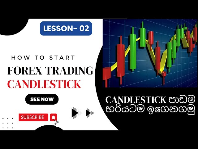 candlestick patterns to master Forex trading price action Secrets for Success | Forex Sinhala