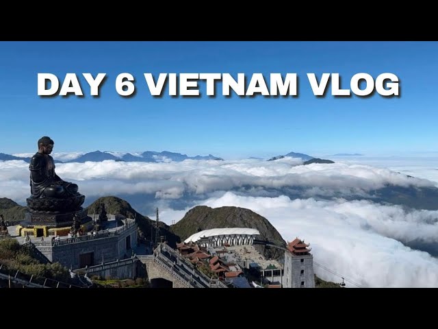 Vietnam lo day 6 vlog|| IT Diaries Telugu  #Telugu #vlogs #travel #trending #viralvideo