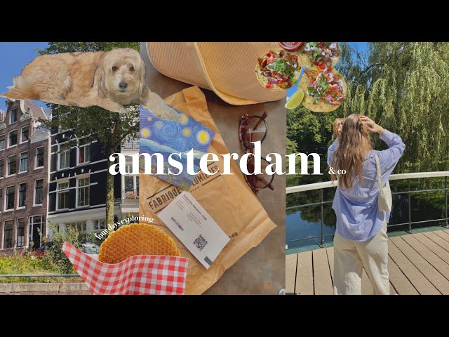 SOLO TRIP TO THE NETHERLANDS | shopping, canal boat ride, museums & popular food spots