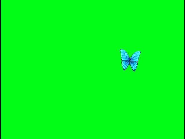 Butterfly🦋🦋🦋 effect-Greenscreen